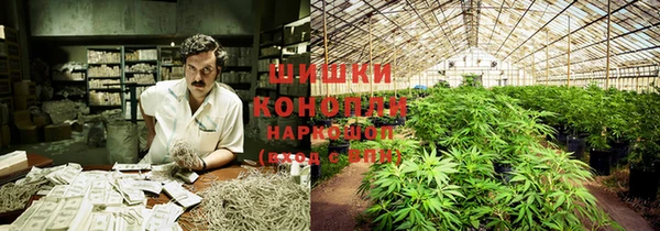 Альфа ПВП Коряжма