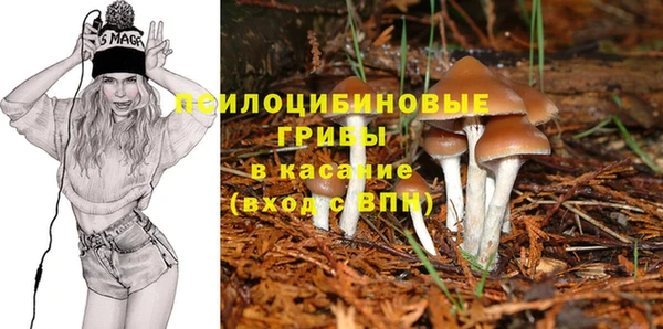Альфа ПВП Коряжма