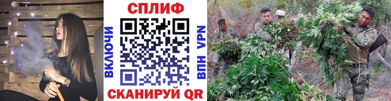 Каннабис OG Kush  Купить  Верхний Уфалей 